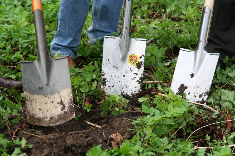 pepiniere-ROQUESTERON-min_work-lawn-flower-tool-green-backyard-1103633-pxhere.com